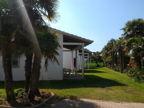 Property building, Garden, Garden view