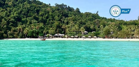 Thanya Beach Resort - SHA Plus Resort in Krabi Changwat