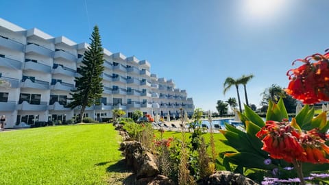 Garden, Swimming pool