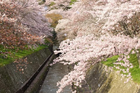 Spring, Natural landscape