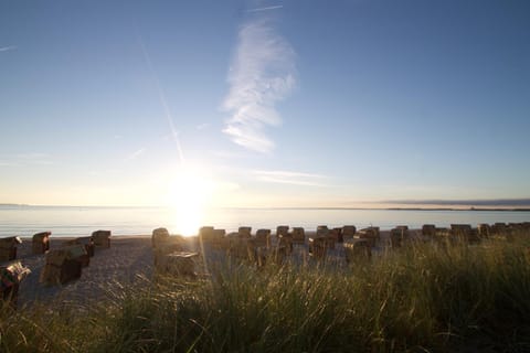 Natural landscape, Sunrise, Sunset