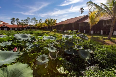 Adena Beach Resort Hotel in Terengganu, Malaysia