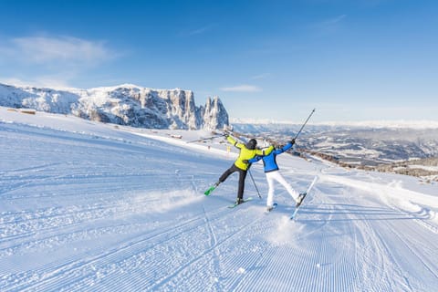 Natural landscape, Skiing, Sports