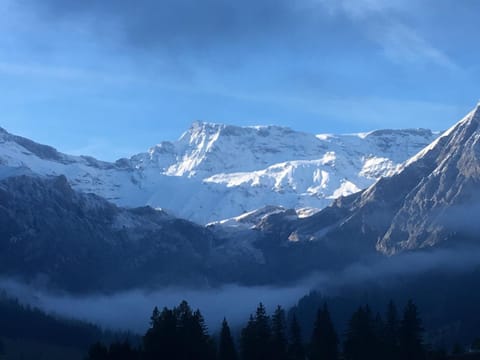 Apartment Hari by Interhome Wohnung in Adelboden