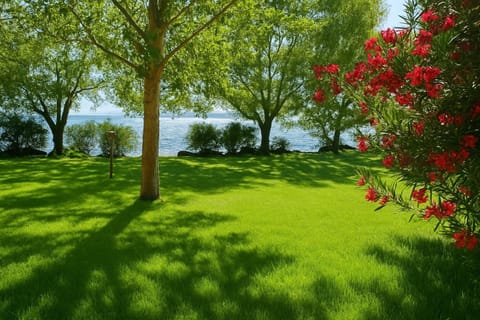 Natural landscape, Garden, Beach, Lake view
