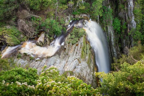 Natural landscape, River view