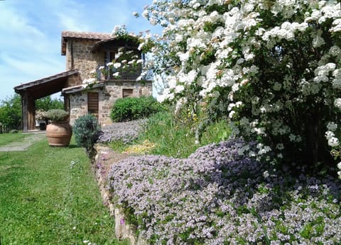 Agriturismo Casa Fibbianello Farm Stay in Lazio