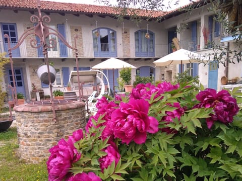 Facade/entrance, Garden