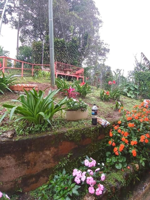 Casa entre la naturaleza Nature lodge in Cartago Province, Costa Rica