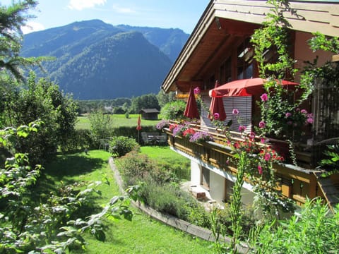 Property building, Garden, Garden view