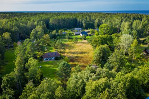 Natural landscape, Bird's eye view, Garden view