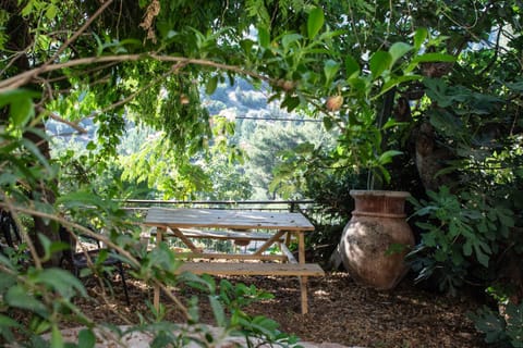 Natural landscape, Garden, Seating area, Garden view