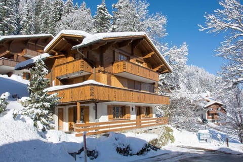 Ferienwohnung Senggi Condo in Adelboden