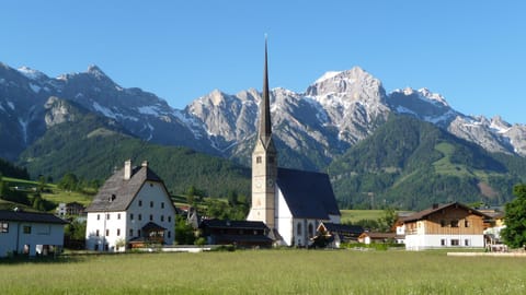 Natural landscape, Summer