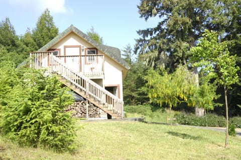 Garden, Balcony/Terrace, Decorative detail