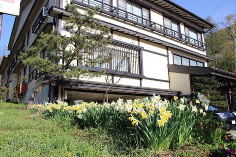 Facade/entrance, Spring