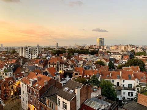 Lovely View Ensuite Room Vacation rental in Ixelles