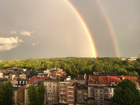 Lovely View Ensuite Room Vacation rental in Ixelles