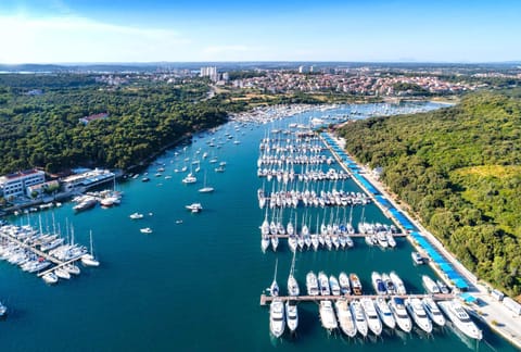 Bird's eye view, On site, Area and facilities