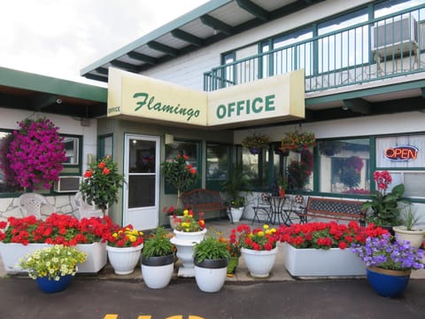 Flamingo Motel Motel in Penticton
