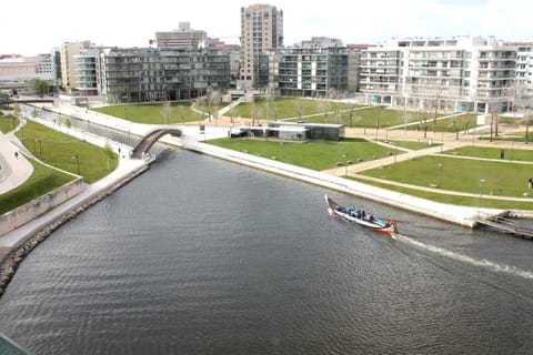 Bird's eye view, Area and facilities