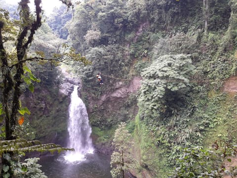 Natural landscape, Hiking