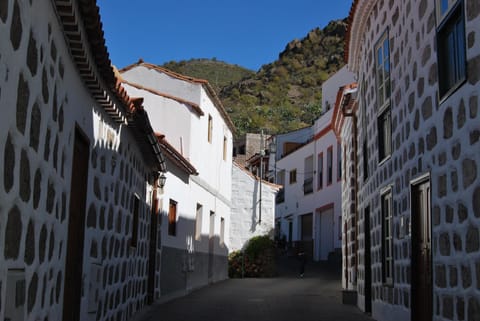 Casa Guayarmina House in Tejeda