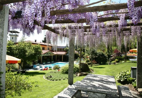 Spring, Day, Garden, On site, Pool view, Swimming pool