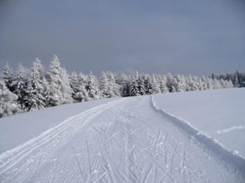 Apartmány Polevsko Bed and Breakfast in Saxony