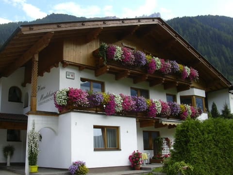Property building, Facade/entrance, Summer