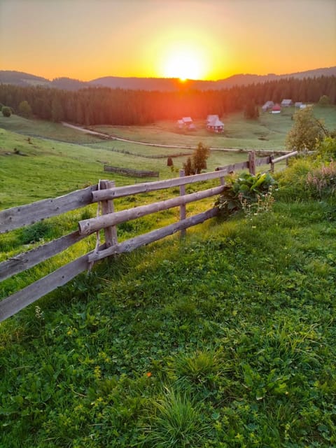 Natural landscape, Sunrise