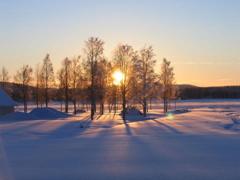 Natural landscape, Winter, View (from property/room)