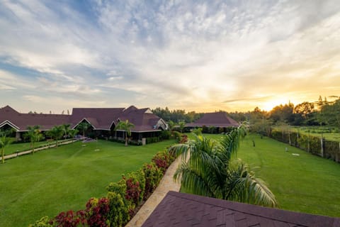 Property building, Sunset