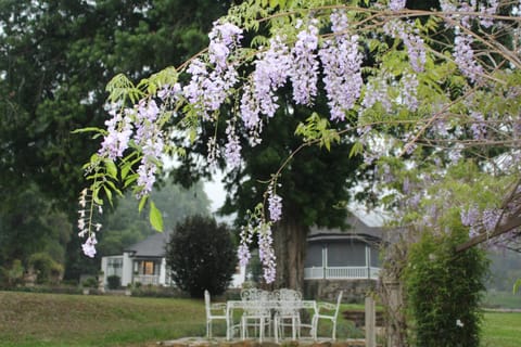 Spring, Garden, Garden view