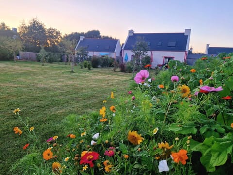 Garden, Garden, Garden view, Garden view