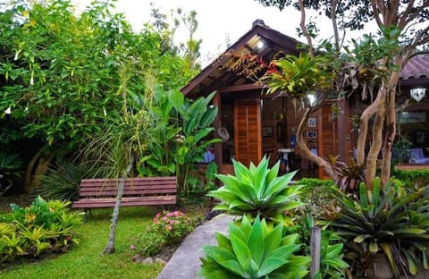 Spring, Natural landscape, Garden, Garden view