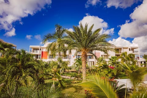 Property building, Garden, Garden view