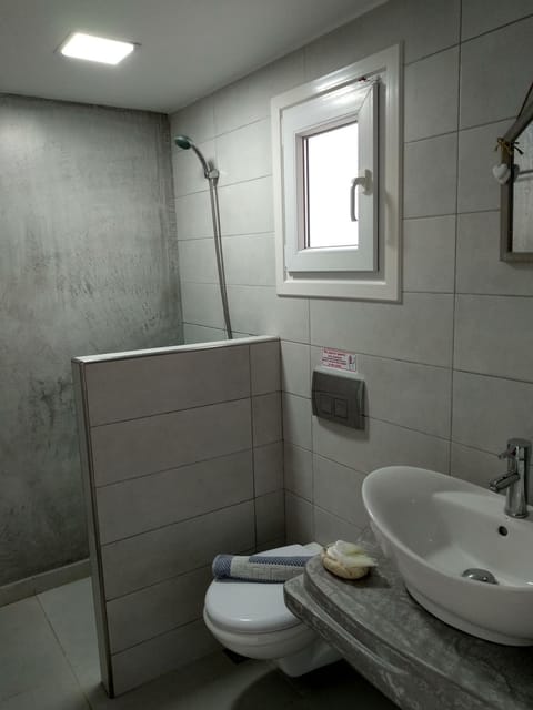 Shower, Toilet