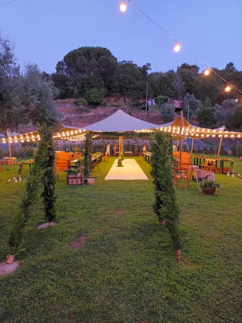 Night, Garden view, wedding