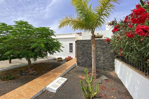 Patio, Garden, Garden view