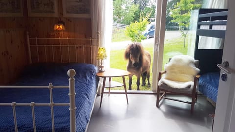 Bed, Photo of the whole room, Pets, Garden view, bunk bed