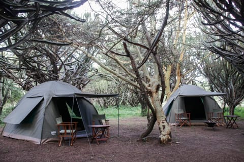 Maji Moto Maasai Cultural Camp Luxus-Zelt in Kenya