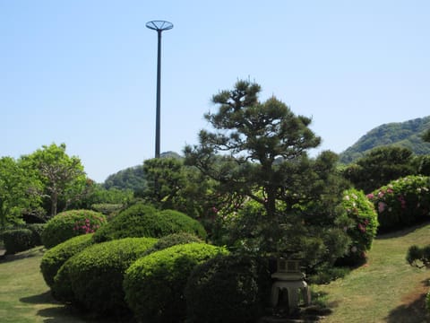 Asagiriso Ryokan in Hyogo Prefecture