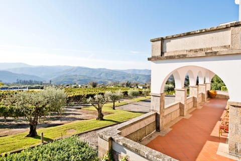 Patio, Garden, Mountain view