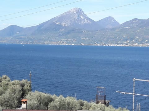Lake view