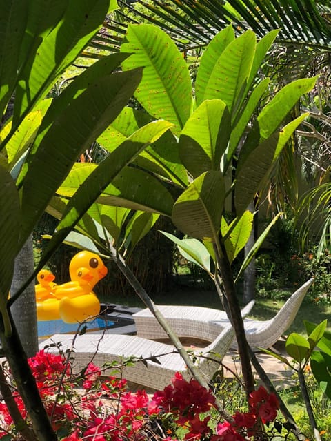 Garden, Garden view