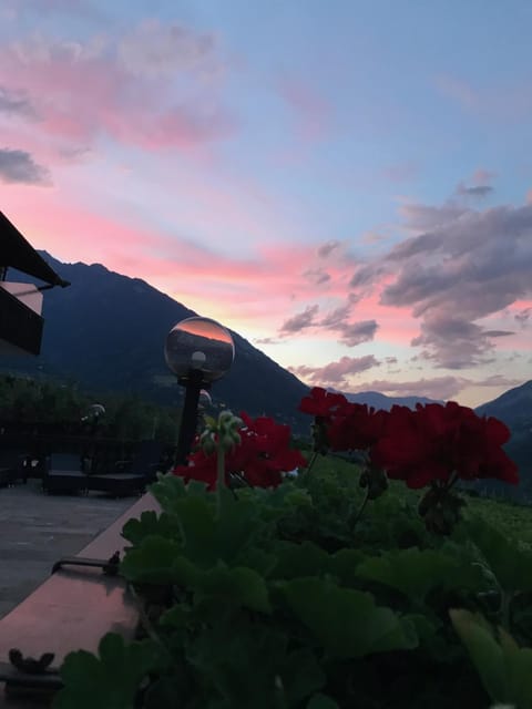 Balcony/Terrace, Mountain view