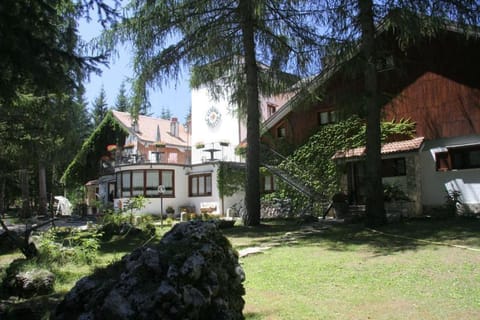 Property building, Day, Garden