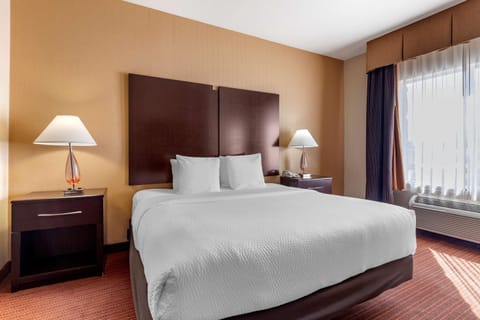 Best Western Plus DFW Airport West Euless Hotel in Euless