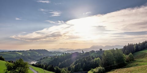 Landgasthof Hotel Menzberg Hotel in Canton of Lucerne